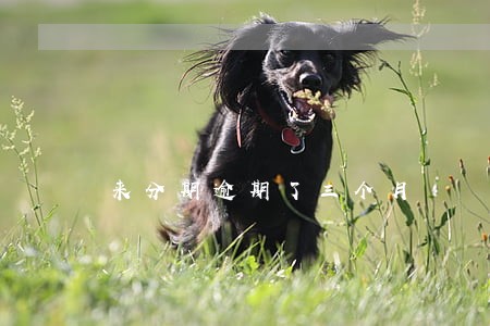 来分期逾期了三个月 来分期逾期了三个月