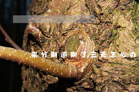来分期逾期了三天怎么办 来分期逾期了三天怎么办