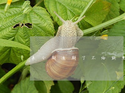 来分期逾期了不给额度了 来分期逾期了不给额度了