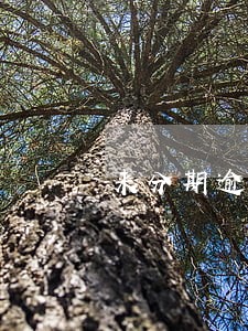 来分期逾期了两个小时还能借吗 来分期逾期了两个小时还能借吗