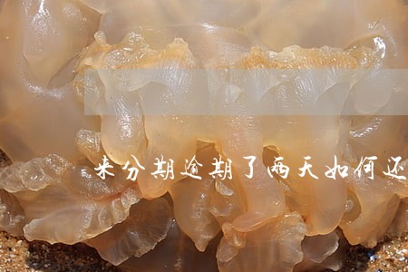 来分期逾期了两天如何还款
