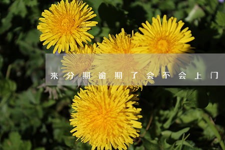 来分期逾期了会不会上门催收