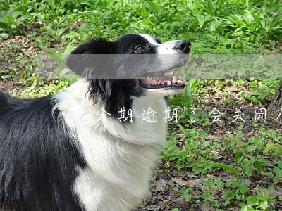 来分期逾期了会关闭花呗吗 来分期逾期了会关闭花呗吗
