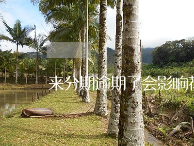 来分期逾期了会影响花呗吗 来分期逾期了会影响花呗吗