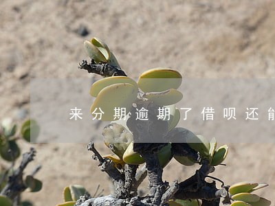 来分期逾期了借呗还能借钱