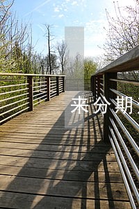 来分期逾期了减免 来分期逾期了减免