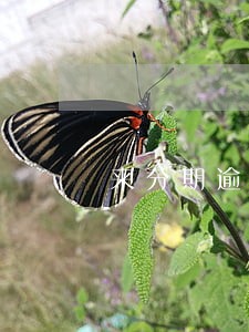 来分期逾期了半个月会怎么样 来分期逾期了半个月会怎么样