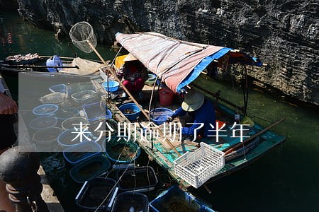 来分期逾期了半年 来分期逾期了半年
