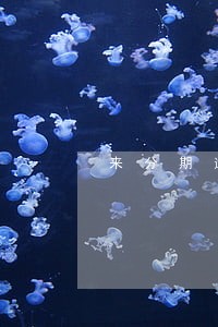 来分期逾期了发信息来说限行