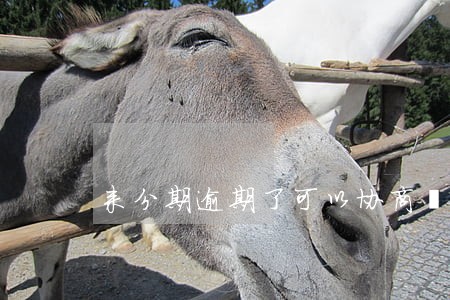 来分期逾期了可以协商麽 来分期逾期了可以协商麽