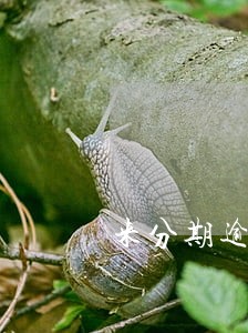 来分期逾期了可以贷款买车吗 来分期逾期了可以贷款买车吗