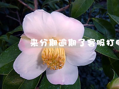 来分期逾期了客服打电话了 来分期逾期了客服打电话了