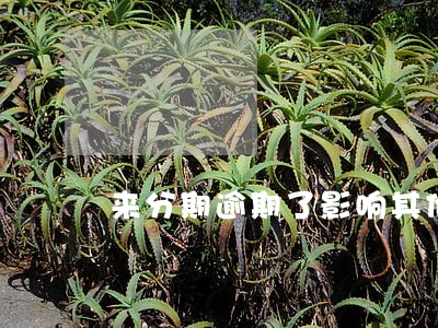 来分期逾期了影响其他借款吗 来分期逾期了影响其他借款吗