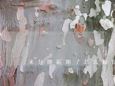 来分期逾期了怎么修复 来分期逾期了怎么修复