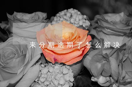 来分期逾期了怎么解决 来分期逾期了怎么解决