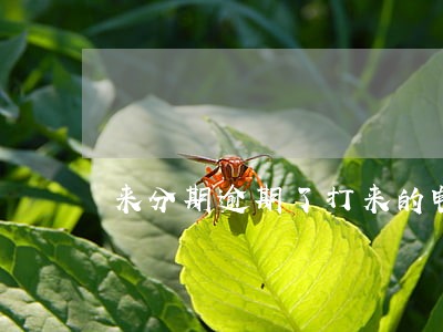 来分期逾期了打来的电话 来分期逾期了打来的电话