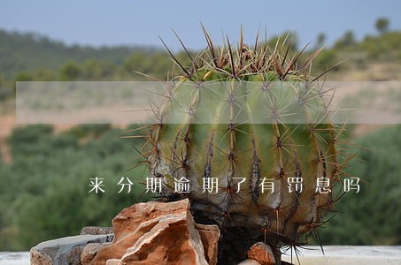 来分期逾期了有罚息吗 来分期逾期了有罚息吗