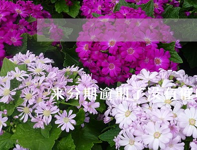 来分期逾期了没有催收 来分期逾期了没有催收
