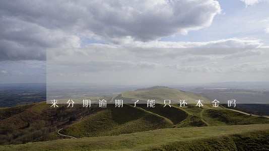 来分期逾期了能只还本金吗 来分期逾期了能只还本金吗