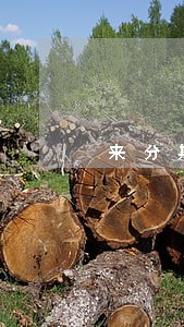 来分期逾期了能自动扣款吗 来分期逾期了能自动扣款吗