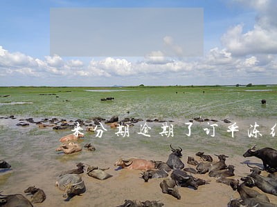 来分期逾期了订单冻结 来分期逾期了订单冻结