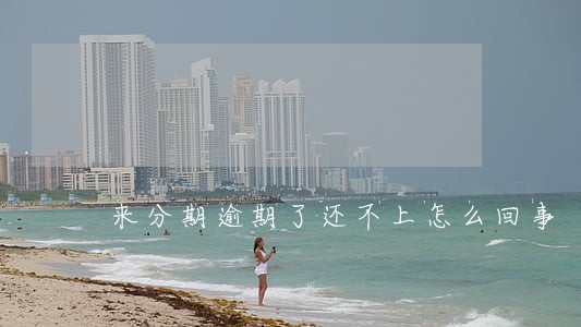 来分期逾期了还不上怎么回事 来分期逾期了还不上怎么回事
