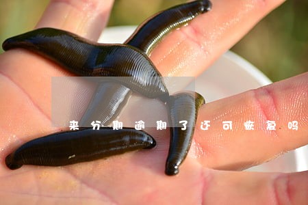 来分期逾期了还可恢复吗 来分期逾期了还可恢复吗