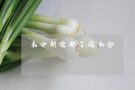 来分期逾期了还本金 来分期逾期了还本金