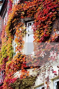 来分期逾期了还款通道冻结了 来分期逾期了还款通道冻结了