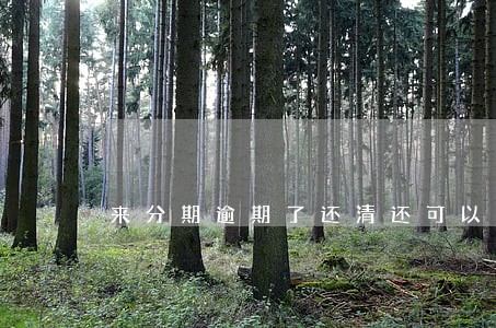 来分期逾期了还清还可以用吗 来分期逾期了还清还可以用吗