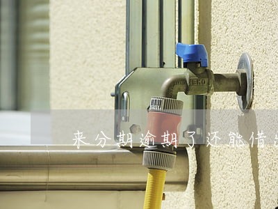 来分期逾期了还能借出来吗 来分期逾期了还能借出来吗