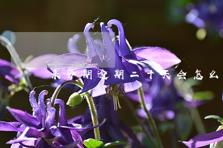 来分期逾期二十天会怎么样 来分期逾期二十天会怎么样