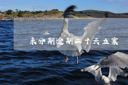 来分期逾期二十天立案