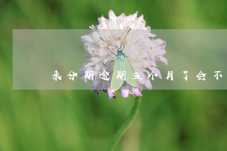 来分期逾期五个月了会不会上征信 来分期逾期五个月了会不会上征信