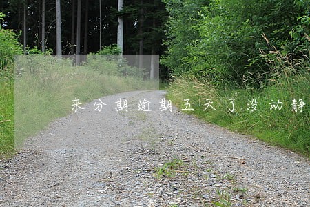 来分期逾期五天了没动静 来分期逾期五天了没动静