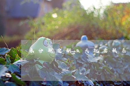 来分期逾期五天就要联系父母 来分期逾期五天就要联系父母