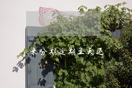 来分期逾期五天还 来分期逾期五天还