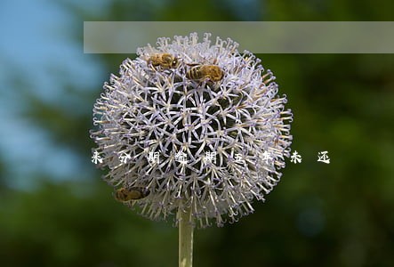 来分期逾期五年未还 来分期逾期五年未还