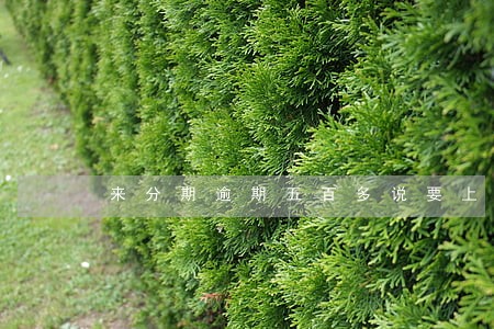 来分期逾期五百多说要上门 来分期逾期五百多说要上门