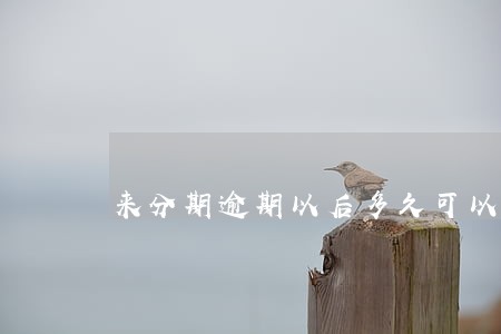 来分期逾期以后多久可以再借 来分期逾期以后多久可以再借