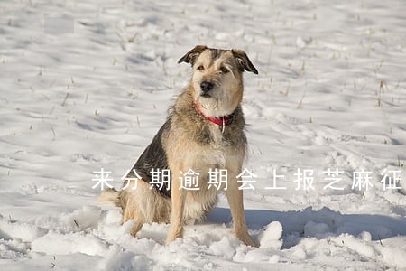 来分期逾期会上报芝麻征信吗 来分期逾期会上报芝麻征信吗
