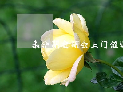 来分期逾期会上门催收吗 来分期逾期会上门催收吗