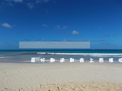 来分期逾期会上面催收吗