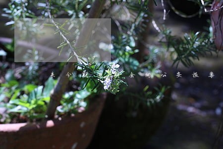 来分期逾期会向公安报案吗