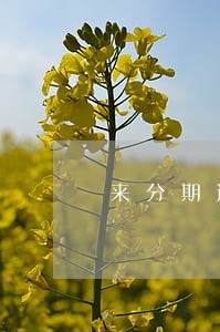来分期逾期会影响助学贷款吗 来分期逾期会影响助学贷款吗
