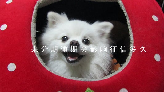 来分期逾期会影响征信多久 来分期逾期会影响征信多久