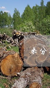 来分期逾期会扣芝麻分么