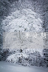 来分期逾期会暴力催款吗 来分期逾期会暴力催款吗