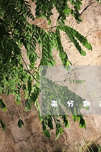 来分期逾期会有人打电话 来分期逾期会有人打电话