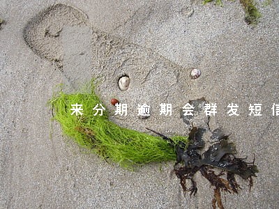 来分期逾期会群发短信吗 来分期逾期会群发短信吗